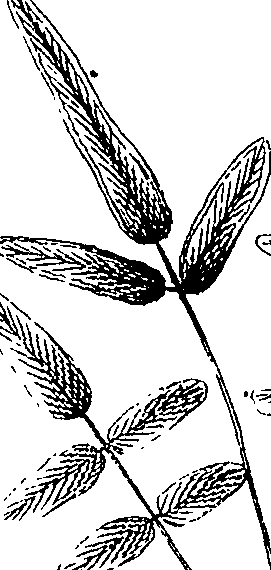 110/110220030503270_4.png