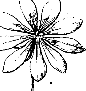 110/110220030503270_5.png