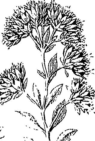 110/110220030503280_0.png