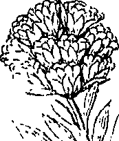 110/110220030503280_1.png