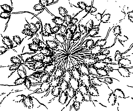 110/110220030503280_2.png