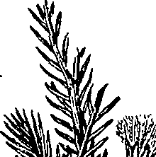 110/110220030503280_4.png