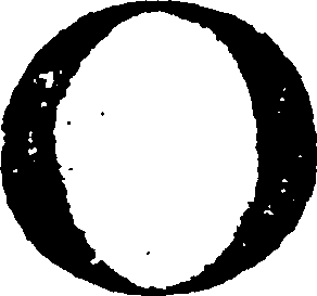 110/110230010601590_0.png