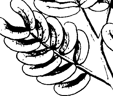 110/110230010602260_0.png