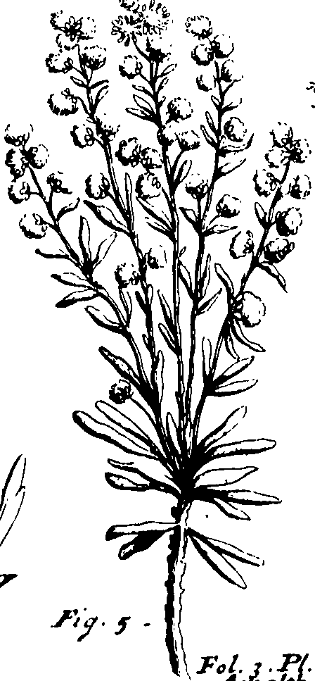 110/110230010602280_0.png