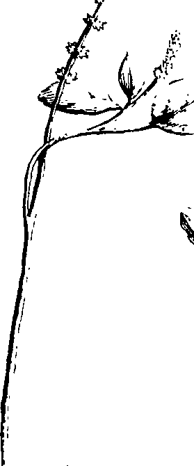 110/110230010602310_1.png