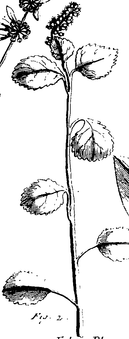 110/110230010602320_0.png