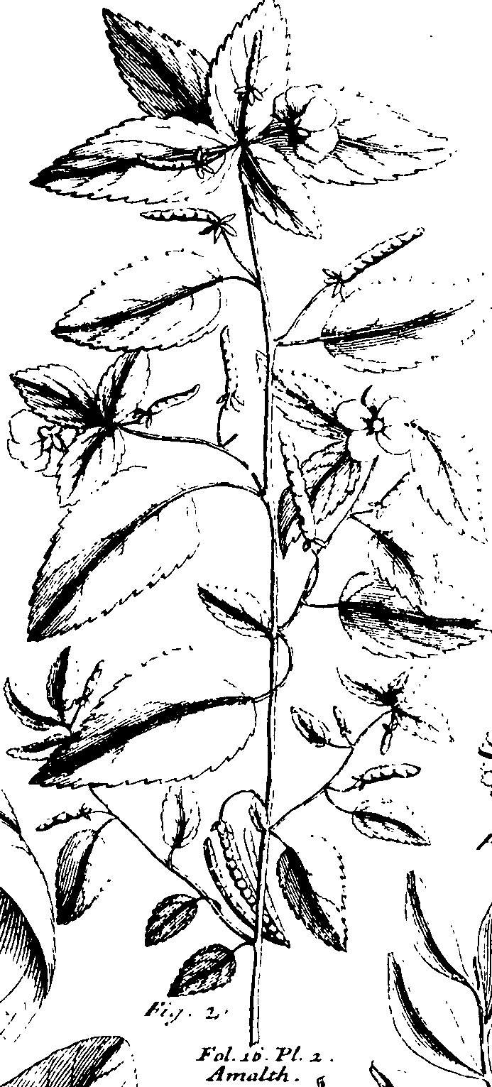 110/110230010602350_0.png