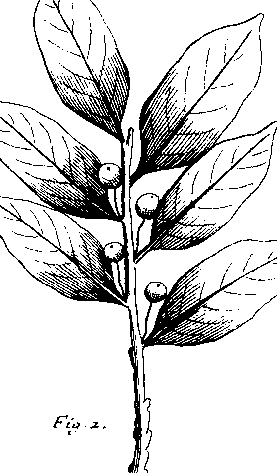 110/110230010602370_1.png