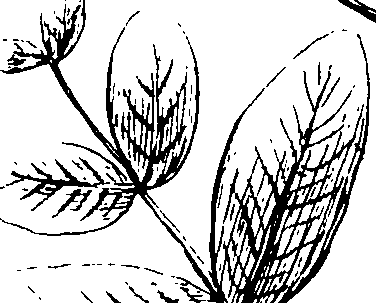 110/110230010602380_1.png