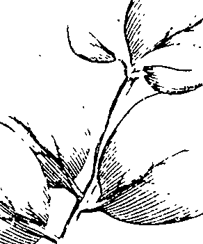 110/110230010602390_2.png