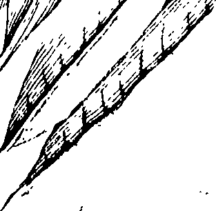 110/110230010602400_0.png