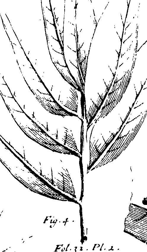 110/110230010602400_1.png