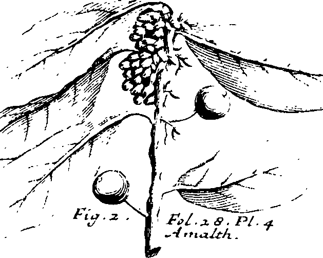 110/110230010602400_2.png