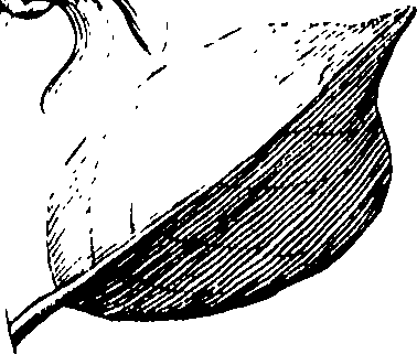 110/110230010602460_0.png