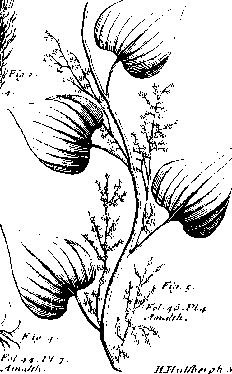 110/110230010602500_0.png