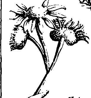 110/110230010602500_1.png