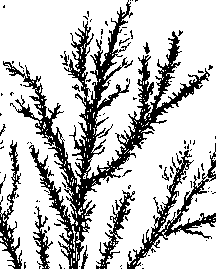 110/110230010602500_2.png