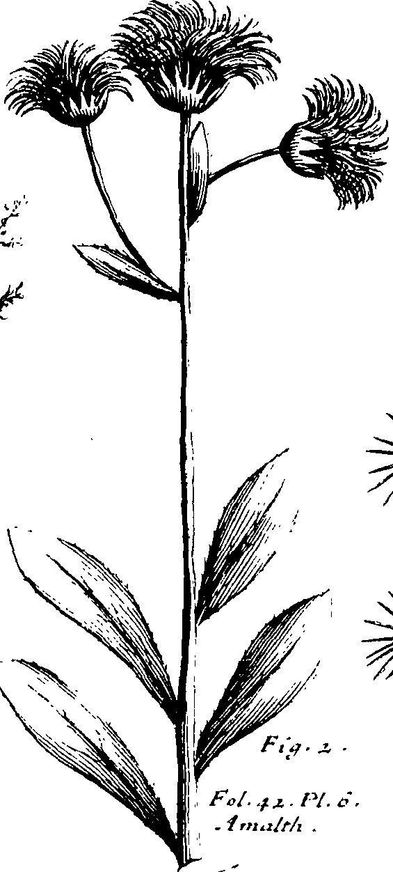 110/110230010602500_3.png