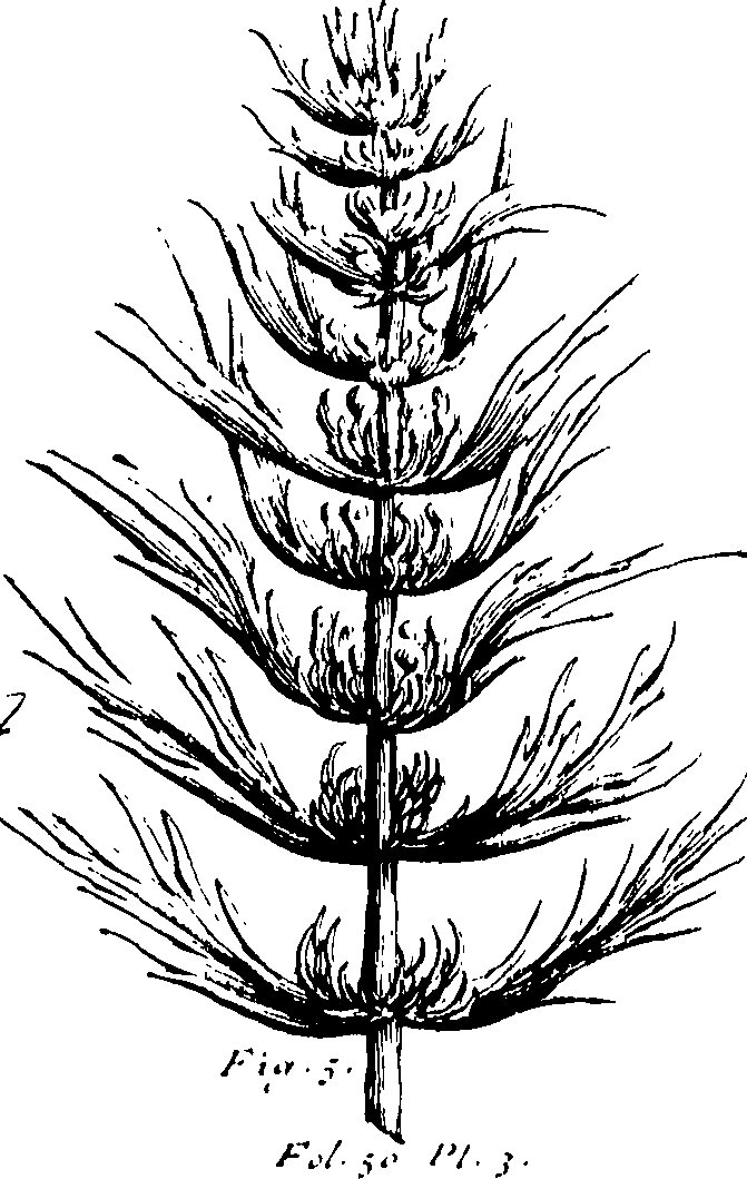 110/110230010602520_0.png