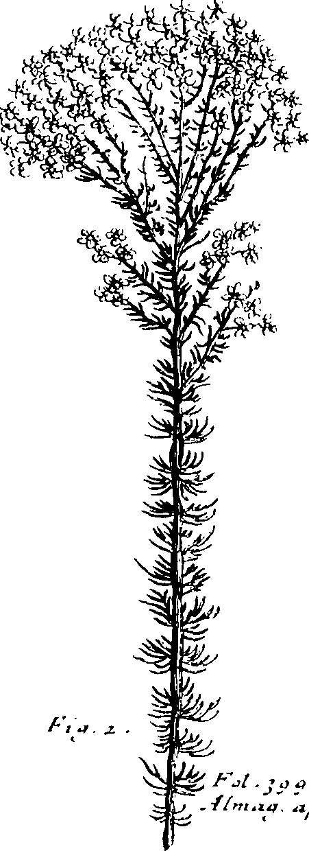 110/110230010602520_1.png