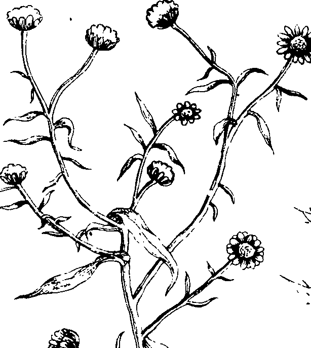 110/110230010602530_1.png