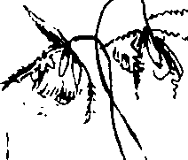 110/110230010602550_2.png