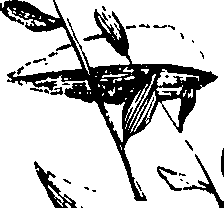110/110230010602580_0.png
