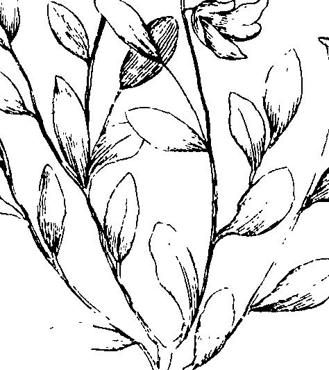 110/110230010602610_0.png