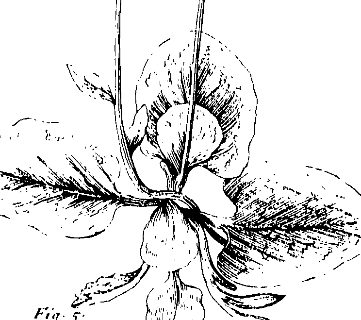 110/110230010602620_0.png
