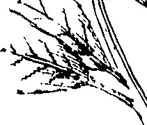 110/110230010602630_0.png