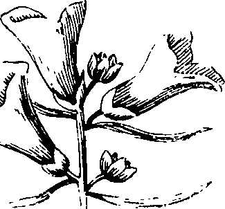 110/110230010602630_2.png