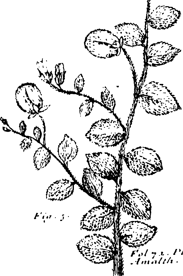 110/110230010602640_0.png