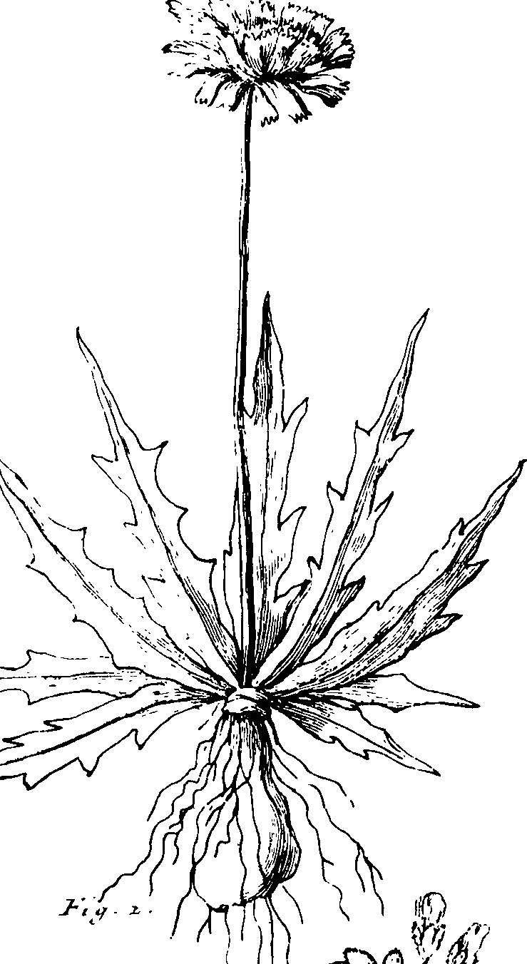 110/110230010602640_1.png