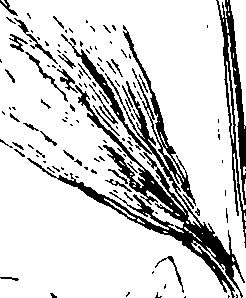 110/110230010602650_1.png