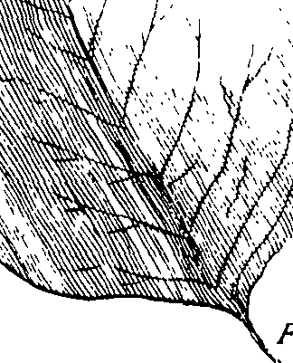 110/110230010602650_2.png