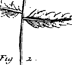 110/110230010602740_0.png