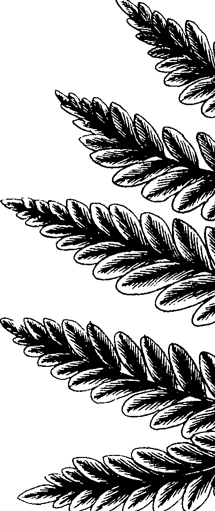 110/110230010602770_0.png