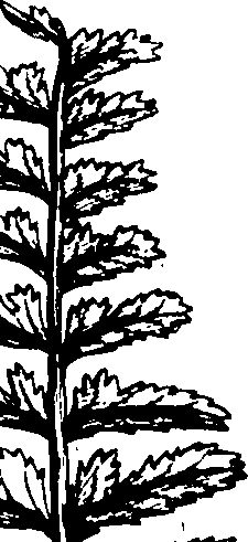 110/110230010602780_0.png