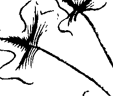 110/110230010602790_0.png