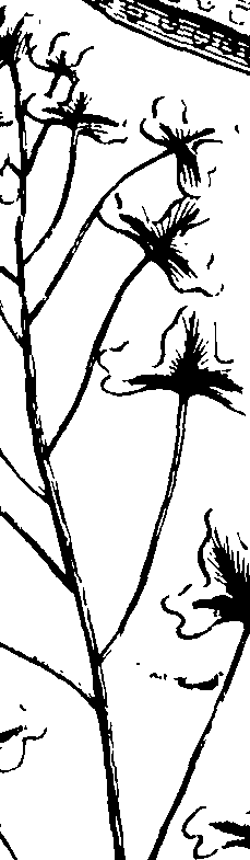 110/110230010602790_1.png