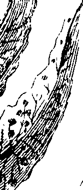 110/110230010602800_1.png