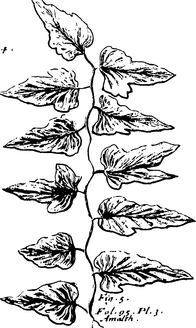 110/110230010602810_0.png
