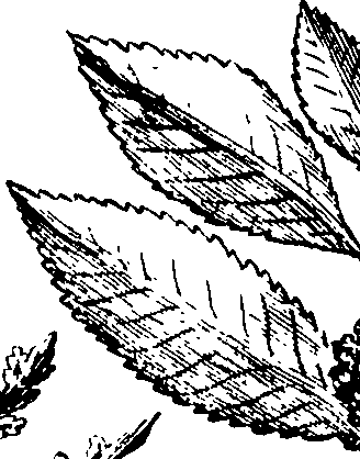 110/110230010602810_1.png