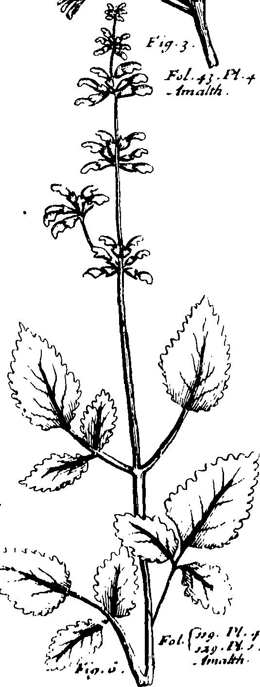 110/110230010602850_0.png