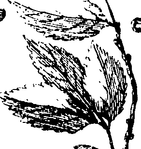 110/110230010602860_0.png
