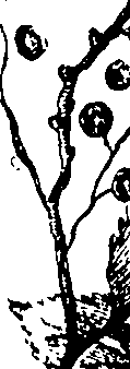 110/110230010602860_1.png