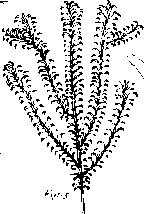 110/110230010602890_0.png