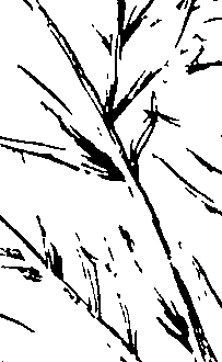 110/110230010602890_1.png
