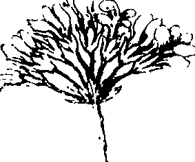110/110230010602900_0.png